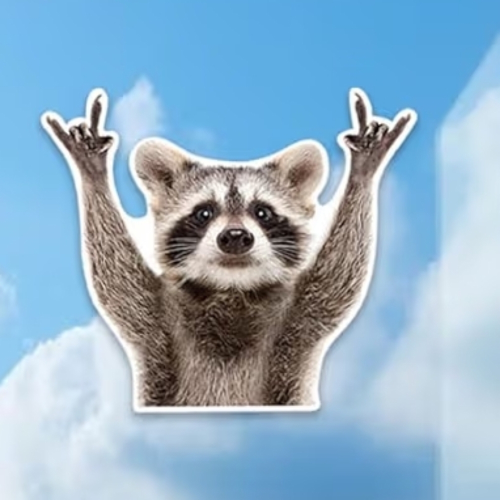 2 RACCOON DECALS (New) - Picture 2 of 3